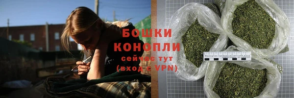 PSILOCYBIN Дмитриев