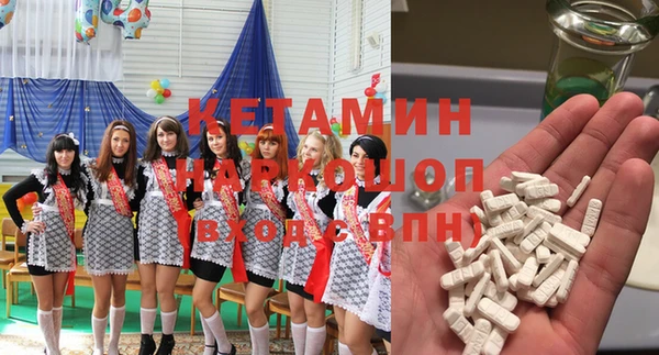 прущие грибы Сосновоборск