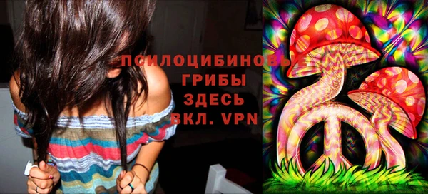 PSILOCYBIN Дмитриев